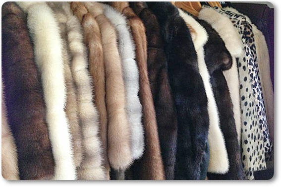 �є甃��E�x�R���ō�������E���z����Ȃ�R�R�������I